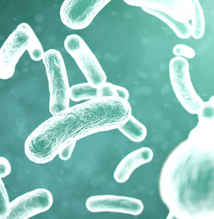 What is Microbiome Therapeutics?