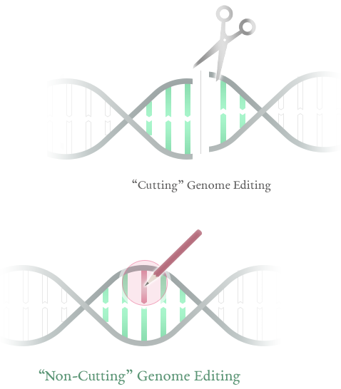 Cutting” genome editing “Non-Cutting” genome editing